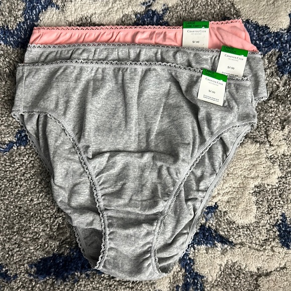 Charter Club Panties (3) - Picture 1 of 1